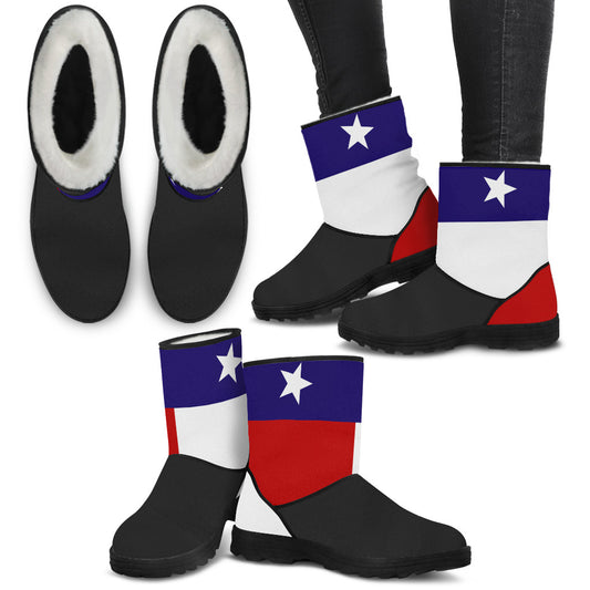 Texas Flag