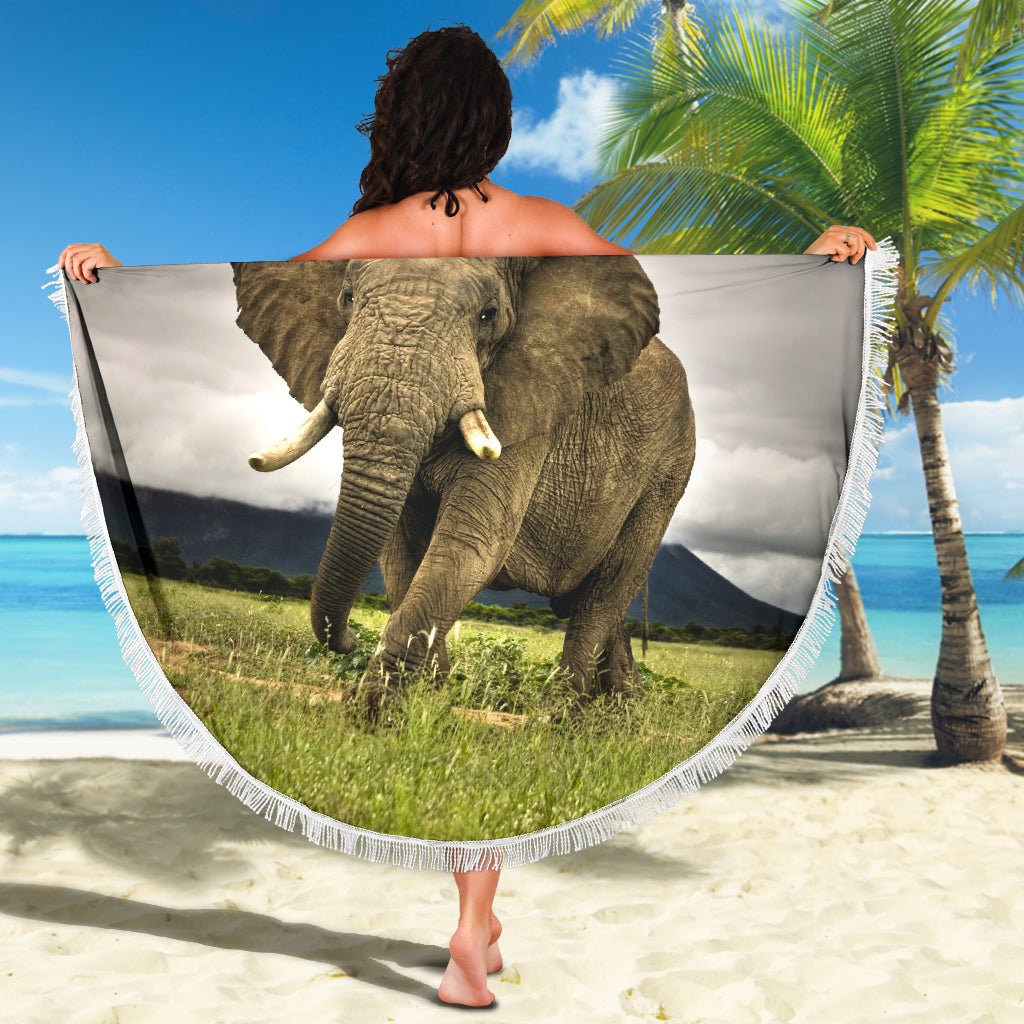 Elephant Beach Blanket -  - buy epic deals