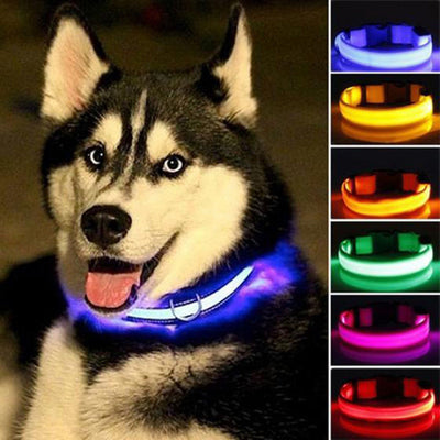 Nylon LED Night Safety Flashing Glow In The Dark Dog Collars - Pets - buy epic deals