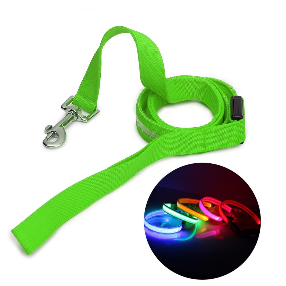 LED Luminous Dog Leash for Night Time Dog Walks - Pets - buy epic deals